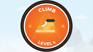 Interview Simulation: Level 4 (Climb)